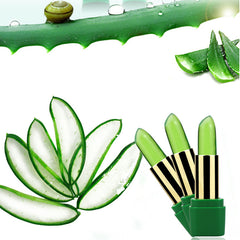 2019 New  Lip Makeup Natural - Ofcours For Women